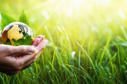 Green Planet in Your Hands. Save Earth. Environment Concept