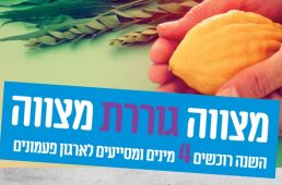 netinat-lulav-banner