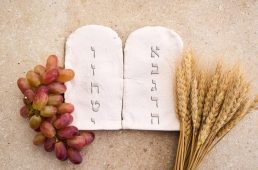 קרדיט תמונה magnific