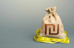 Israeli shekel sterling money bag and measuring tape meter. Analysis of economic situation. Declaration of income, illegal. Formation and optimization of the budget, savings. Assessment of capital.